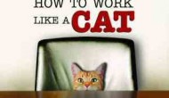 Πρέπει να είσαι «γάτα» για μη δουλεύεις σαν σκυλί …
