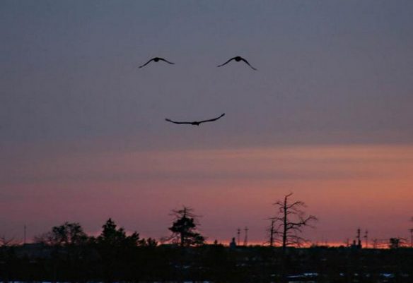 Ένα χαμόγελο από τον ουρανό