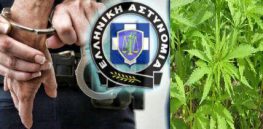 Σύλληψη για καλλιέργεια δενδρυλλίων κάνναβης και κατοχής ναρκωτικών ουσιών στο Μεγανήσι