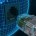 INTERNET6131_326838988