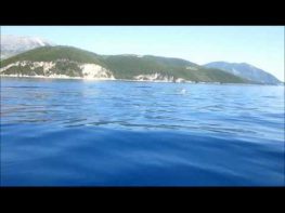Δελφίνια στο Δεσίμι