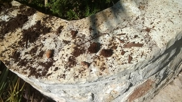 wp-20161001-12-50-42-pro