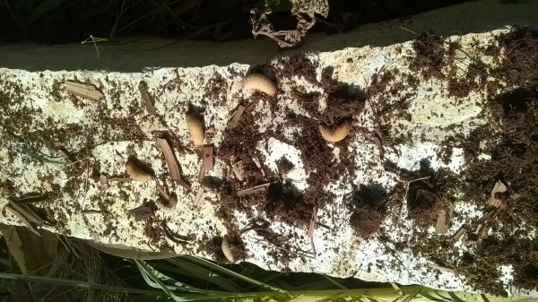 wp-20161001-12-55-34-pro