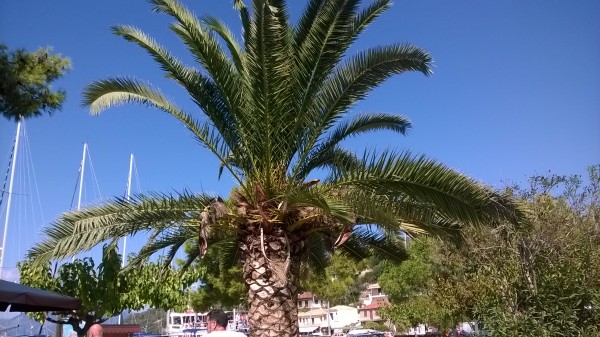 wp-20161001-12-55-54-pro