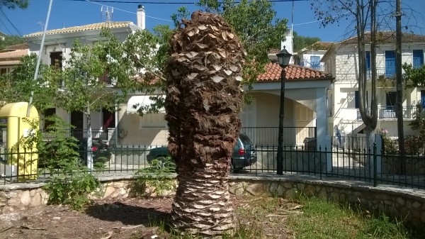 wp-20161001-12-58-24-pro