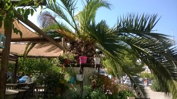 wp-20161001-12-59-41-pro