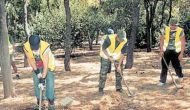 4 άτομα για πυροπροστασία ζητά ο Δήμος Μεγανησίου