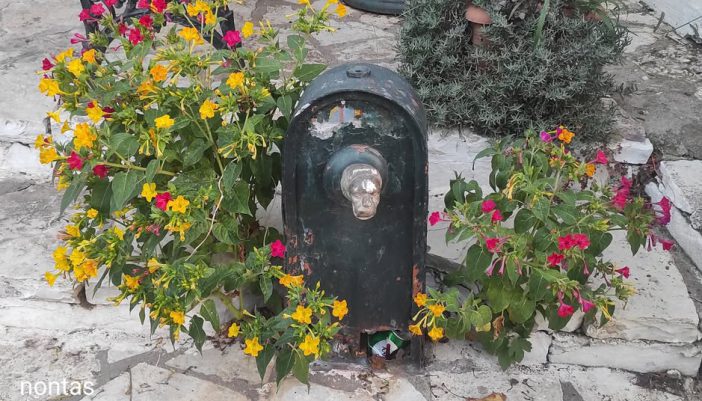 Η φωτογραφία της εβδομάδας