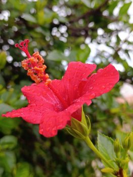 Φωτογραφίες μιας φύσης αγνής