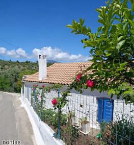 H φωτογραφία της εβδομάδας