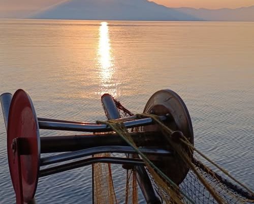 Η φωτογραφία της ημέρας