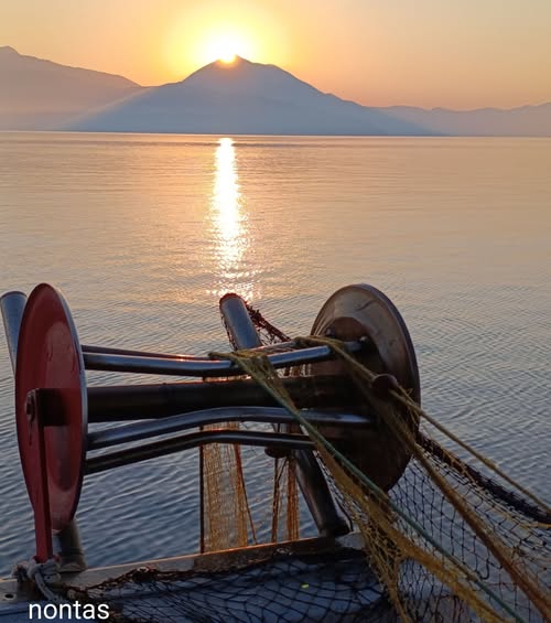 Η φωτογραφία της ημέρας
