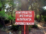 pyrkagia