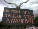 mi_zgons_sima