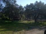 dscn1710