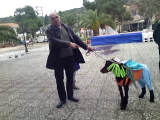 vlcsnap-2011-03-09-12h14m15s10