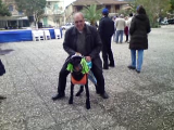 vlcsnap-2011-03-09-12h14m28s132