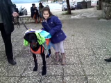 vlcsnap-2011-03-09-12h14m40s2