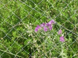 dscn2417