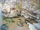 dscn2440