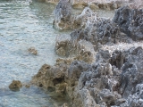 dscn2452