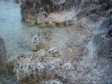 dscn2455