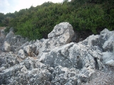 dscn2457