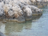 dscn2459
