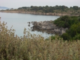 dscn2460
