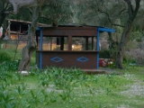 dscn2021