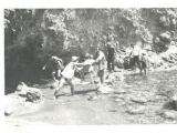 q5
