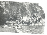 w1