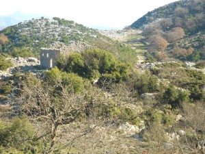 Υλοποίηση Έργων Προγράμματος «Πρόληψη Δασικών Πυρκαγιών και Λειτουργίας Δασικών Φυτωρίων» του ΥΠΕΚΑ