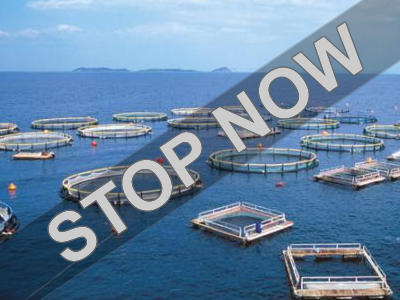 Υπενθύμιση Πανελλήνιας Συντονιστικής Επιτροπής κατά του Χωροταξικού των Υδατοκαλλιεργειών